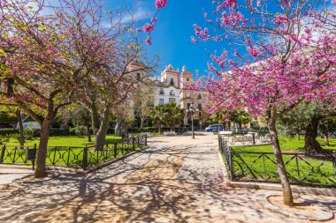 anıtlar, simge ve mimari sokaklarında Cadiz, İspanya