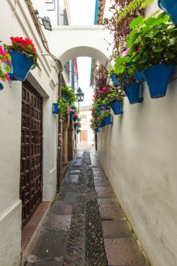 Calleja de las Flores in Cordoba, Spain
