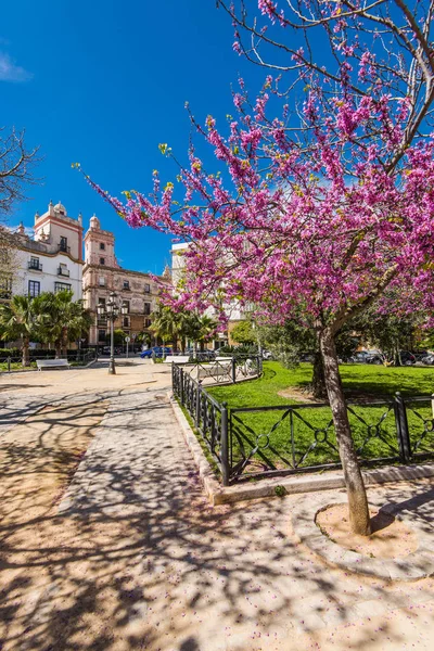 Monumentos, monumentos y arquitectura en las calles de Cádiz, España — Foto de Stock