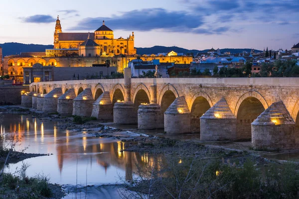 Кордова, Испания Вид на Римский мост и Кафедральный собор — стоковое фото
