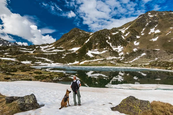 Senderista activo en juicio con perro en Pirineos — Foto de Stock