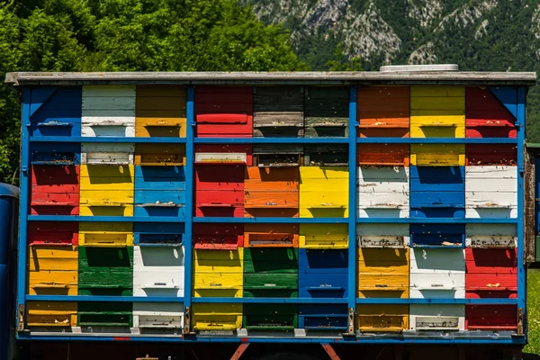 Colmenas de abejas coloridas y vibrantes en camión viejo en Eslovenia —  Fotos de Stock