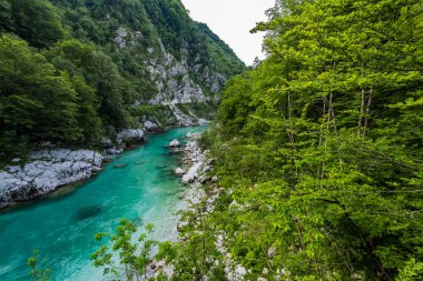 Dağlar nehir Soca Julian Alps, Slovenya için