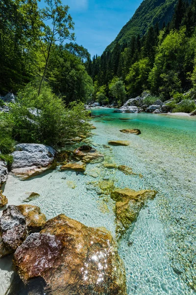 Kristal berraklığında su Soca nehir, Slovenya