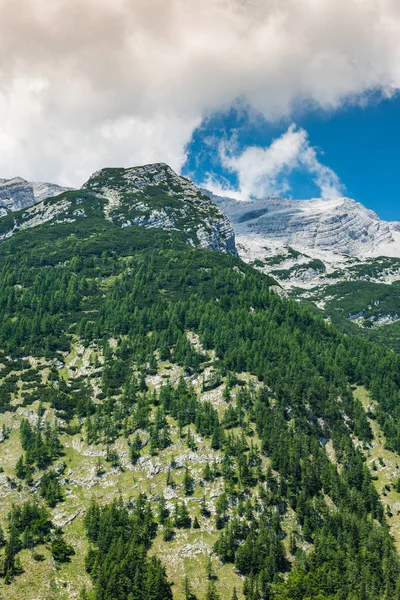 Високі гори вершин в Словенії Юлійські Альпи — стокове фото