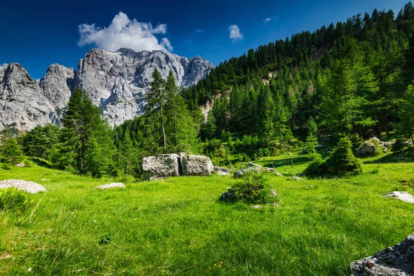 在朱利安阿尔卑斯山，斯洛文尼亚 Triglav 国家公园 — 图库照片