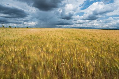 Bulanık alanları üzerinde dramatik gökyüzü bulutlu