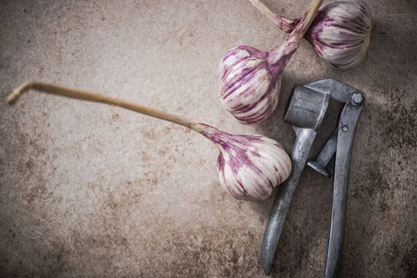 Alho inteiro violeta e alho vintage imprensa — Fotografia de Stock