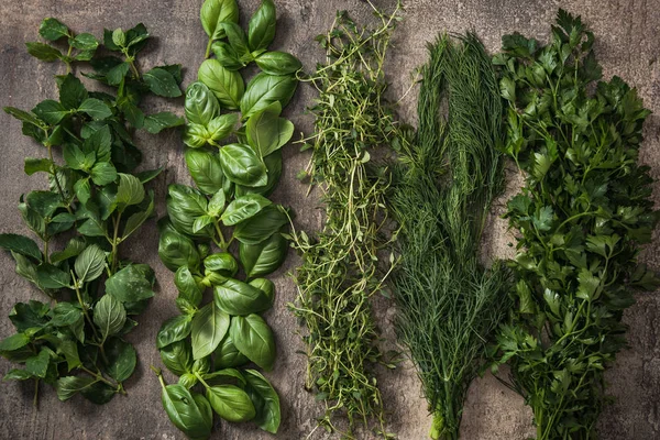 Garden fresh herbs on stone slate — Stock Photo, Image