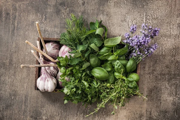 Wooden box with garden herbs — Stock Photo, Image