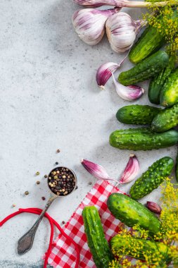 Salatalık turşusu hıyar yatıyordu tarifi arka plan düz