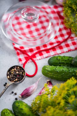 Kış, lezzetli organik gıda için koruma salatalık