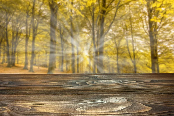 Podzimní les s dřevěnými deskami pro vystavení zboží — Stock fotografie