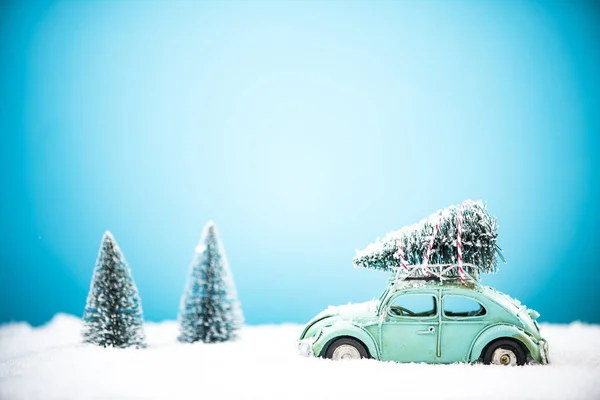 Toy car carry Christmas pine tree on roof — Stock Photo, Image