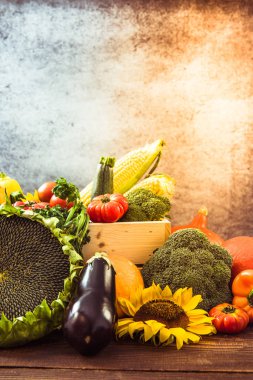 Sonbahar renkli sebze