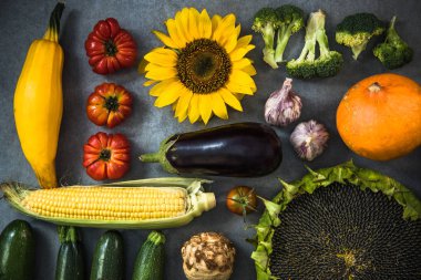 Taze hasat sonbahar sebze