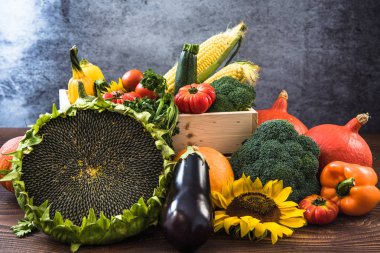 Sonbahar renkli sebze