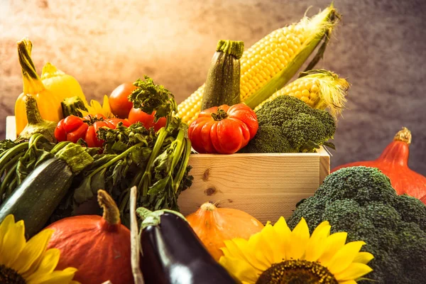 Farbenfroher Herbst erntet Gemüse — Stockfoto