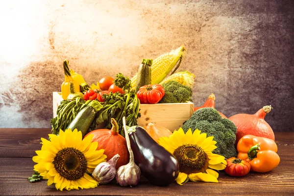 Farbenfroher Herbst erntet Gemüse — Stockfoto