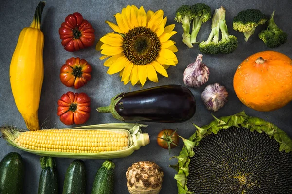 Taze hasat sonbahar sebze