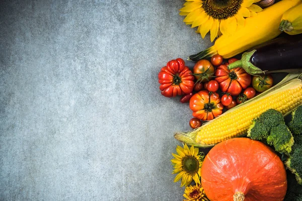 Frisch geerntetes Herbstgemüse — Stockfoto