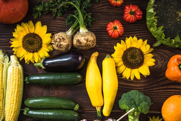 Fresh from market vegetables in autumn colors — Stock Photo, Image