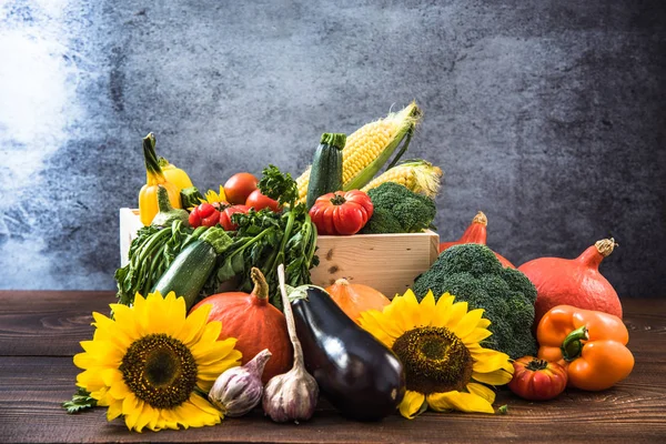 Farbenfroher Herbst erntet Gemüse — Stockfoto