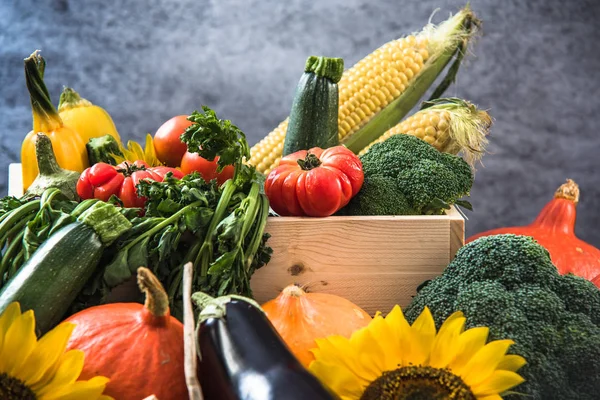 Farbenfroher Herbst erntet Gemüse — Stockfoto