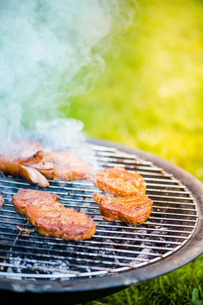 Smoking bbq grilling meat, sunlight