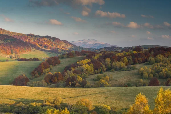 Couleurs vibrantes de l'automne dans la nature sauvage des Carpates, Bi — Photo