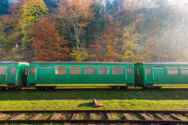 Demiryolu tren Karpatya Dağları'nda terk edilmiş tren istasyonunda, — Stok fotoğraf