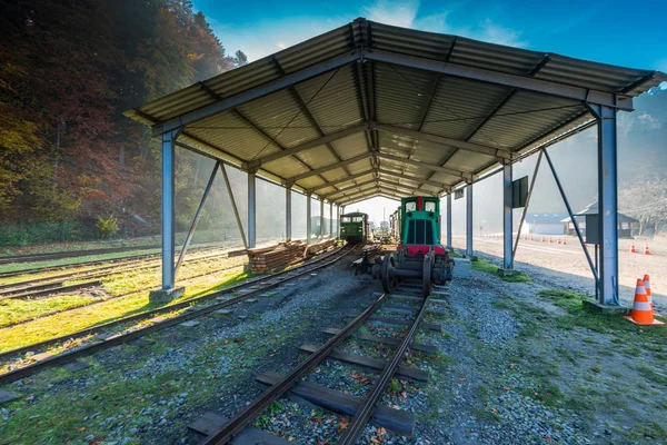 Demiryolu tren Karpatya Dağları'nda terk edilmiş tren istasyonunda, — Stok fotoğraf