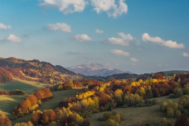 Sonbahar canlı renkler içinde ekilmemiş boş arazi Karpatya Dağları, Bieszczady, Polonya.