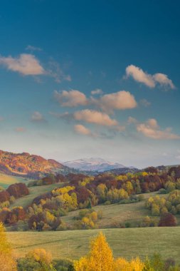 Sonbahar canlı renkler içinde ekilmemiş boş arazi Karpatya Dağları, Bieszczady, Polonya.