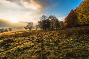 Sisli puslu sabah Bieszczady Karpat dağ güneş doğarken