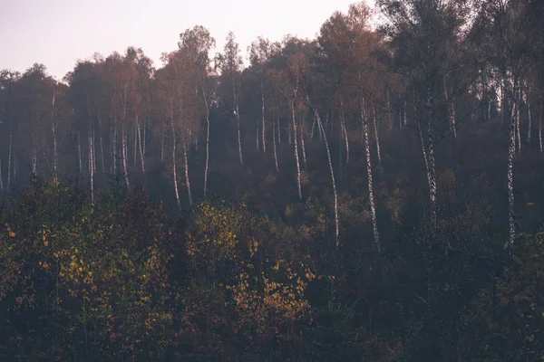 Montagne carpatiche e deserto in autunno — Foto Stock