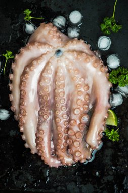 Bütün Ahtapot Izgara için hazır