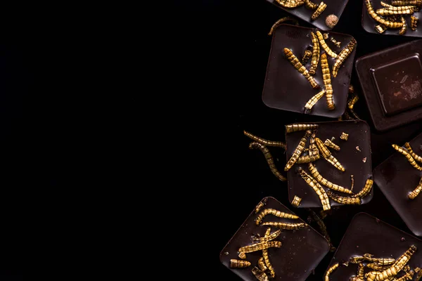 Chocolate con gusanos comestibles, tendencias culinarias — Foto de Stock