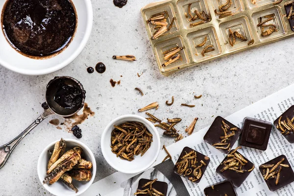 Making chocolate with edible insects