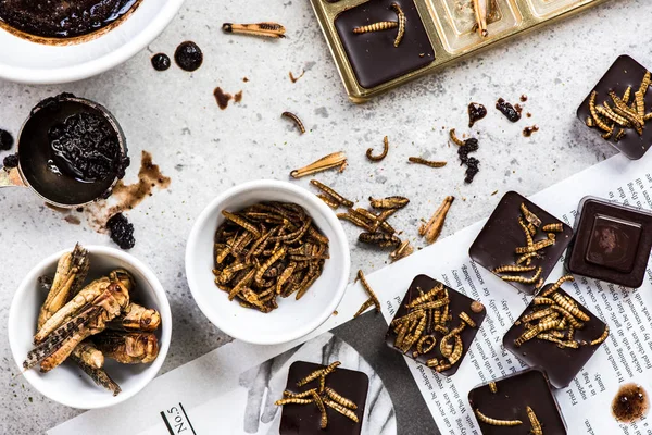 Homemade edible insects with chocolate