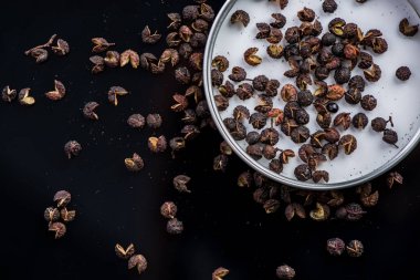 Tumit biber tohumları siyah arka plan üzerine kurutulmuş