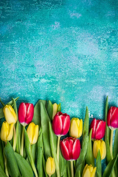 Tulipany świeże damskie Day karty makieta — Zdjęcie stockowe