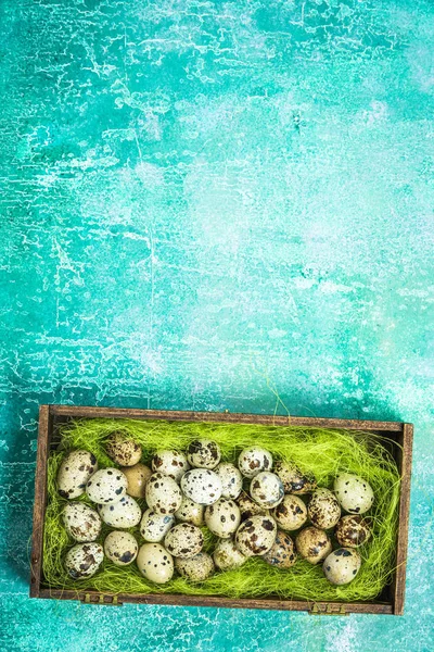 Quail eggs in wooden box with moss