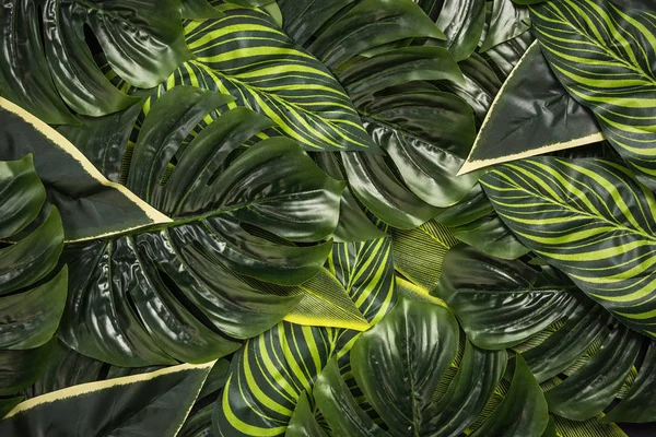 Arka plan tonda hipster trapical yaprakları