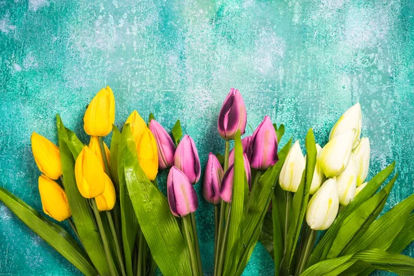 Wibrujący tulipany na betonowe podłoże, szablon karty — Zdjęcie stockowe