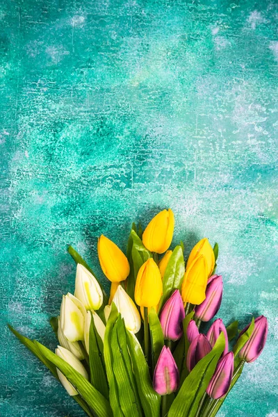 Pulserande tulpaner på konkreta bakgrund. Påsk eller våren mall — Stockfoto