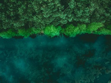 Orman ve göl sınır, yukarıdan tonlu görüntü