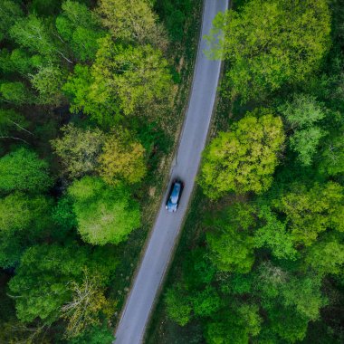 Orman, havadan görünümü de yol araba araba
