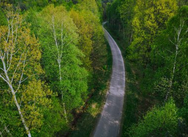 Yukarıdan yol yalak orman, asfalt
