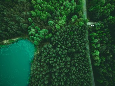 Orman ve yolda park edilmiş araba havadan görünümü